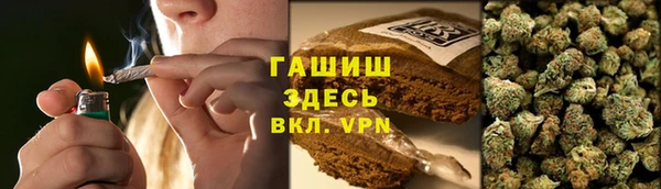 индика Богданович