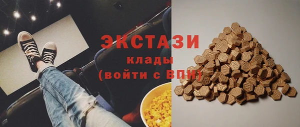 индика Богданович