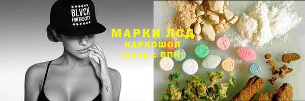 индика Богданович