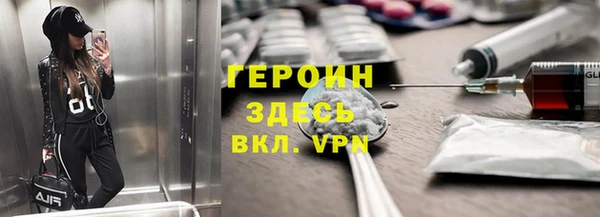 индика Богданович