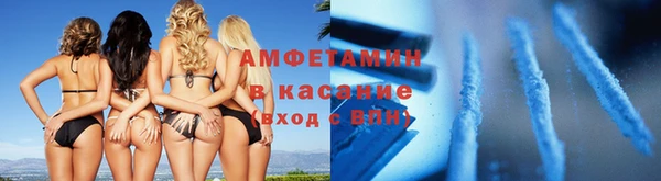 индика Богданович