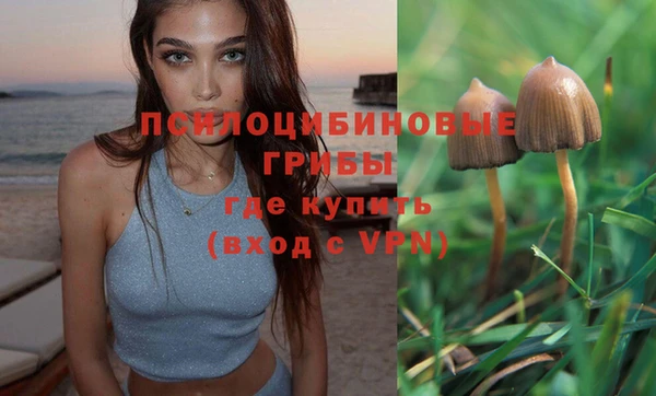 а пвп мука Беломорск