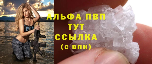 индика Богданович