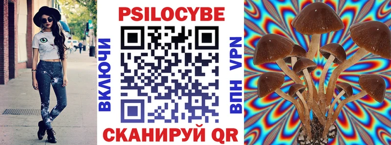 сколько стоит Богородицк Галлюциногенные грибы Cubensis